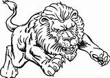 Lion Tiger Coloring Pages Color Printable Getcolorings sketch template
