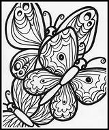 Coloring Life Butterfly Cycle Pages Getcolorings Getdrawings sketch template
