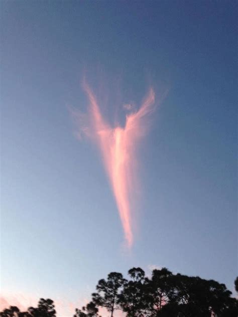 angel shaped cloud appears in florida sky after new pope is announced