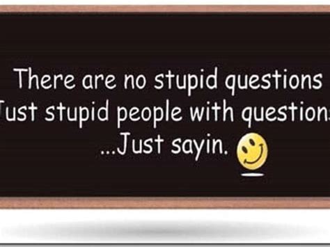 there s no such thing as a stupid question just stupid people with