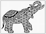 Elephant Mandala Coloring Pages Getdrawings sketch template
