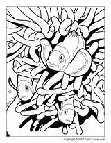 Coloring Pages Fish Clownfish Adults Underwater Printable Tropical Clown Adult Sheets Print Koi Animal Clipart Color Marine Ocean Cliparts Colouring sketch template