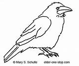Crow Template Bird Outline Animal Drawing Coloring Crows Pages Cliparts Kids Templates Attribution Forget Link Don Elder Stop sketch template