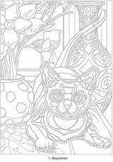 Coloring Doverpublications Dover Publications Color Book Number Haven Creative Cats Pages Welcome Books Titles Browse Complete Catalog Over sketch template