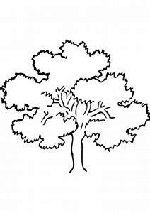 tree coloring pages coloring pages