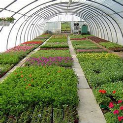 horticultural consultants horticultural services  india