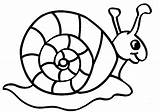 Snail Coloring Pages Printable Clipart Animal Snails Kids Cute Clip sketch template