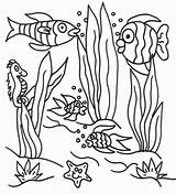 Coloring Underwater Pages Sea Under Scene Printable Ocean Seaweed Colouring Drawing Landscape Easy Sheet Clipart Animals Print Color Floor Fish sketch template