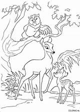 Coloring Pages Bambi Mother His Owl sketch template