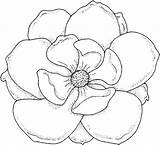 Coloring Flower Pages Flowers Large Magnolia Kids Outline Drawing Printable Color Colouring Drawings Tattoo Rose Print Sheets Flor Real Printables sketch template