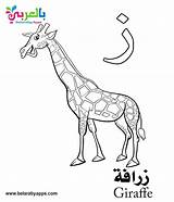 Arabic Coloring Alphabet Pages Letter Letters Kindergarten sketch template