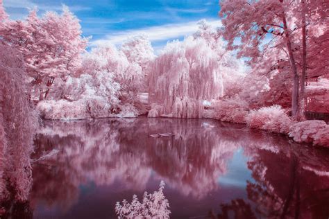 infrared photography tips  beginners