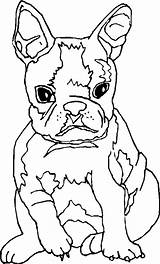 Puppies Honden Dieren Bulldog sketch template