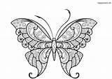 Schmetterling Butterfly Ausmalbild Malvorlage Happycolorz Schmetterlinge Waldtiere sketch template