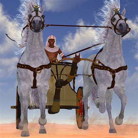 horse chariot stock  pictures royalty  images istock