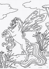 Schleich Tiere Pferde Malvorlage Afrika Malvorlagen Prinzessin Luxus Tierpark Reiterin Sternenhimmel Letztes Meistbesuchte älteste Pferd sketch template