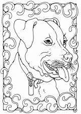 Staffordshire Bullterrier Malvorlage Kleurplaat Hond Kleurplaten Volwassenen Colour Schulbilder Besuchen Malvorlagen Herunterladen sketch template