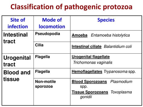 Ppt Parasitology Powerpoint Presentation Free Download Id 2277763
