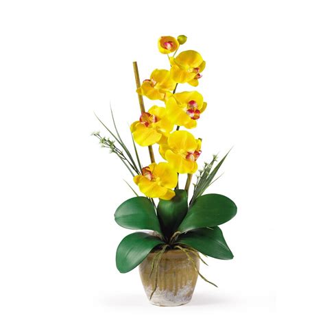 Nearly Natural Phalaenopsis Silk Orchid Flowers In Yellow And Reviews