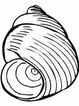 Seashell Coquillage Colorier Snail Coloriages Colornimbus sketch template