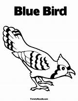 Coloring Blue Bird Pages Printable Birds Getcolorings Bluebird sketch template