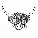Cow Highland Drawing Sketch Print Coloring Line Pages Easy Drawings Printable Baby Scottish Tattoo Coo Visit Scotland Drawn Hand sketch template