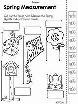 Measurement Math Kindergarten Worksheets Spring Activities Worksheet Preschool Learning Distance Printable Grade Teaching Length Choose Board Lessons Common Core Freebie sketch template