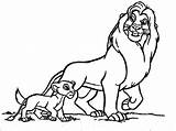 Mufasa Simba Leoes Roi Cachorro Around León Dibujar Aplemontbasket sketch template