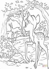 Coloring Bambi Pages Meets Mom His Printable sketch template