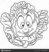 Chou Ohbq Cabbage Fleur sketch template
