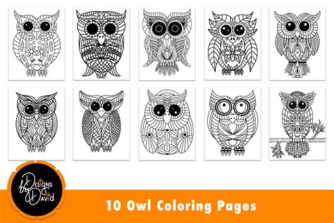 owl coloring pages  coloring pages design bundles