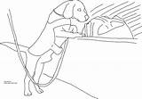 Beagle Detection sketch template
