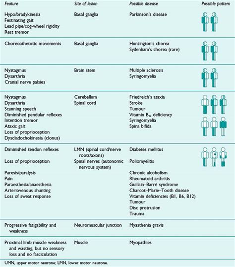 neurological assessment musculoskeletal key