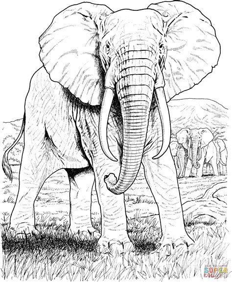 african elephant coloring page  printable coloring pages