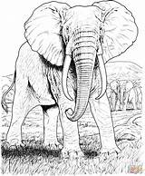 Coloring Elephant Pages African Printable Drawing sketch template