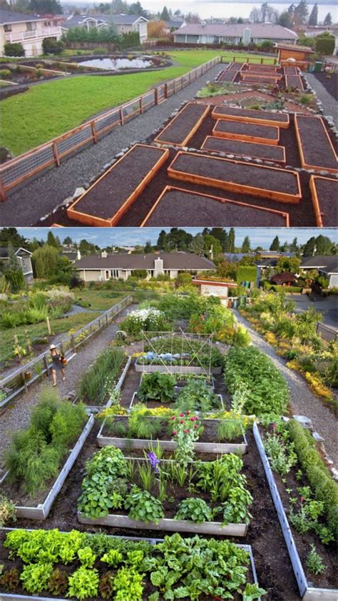 vegetable garden layout   design secrets  piece  rainbow