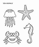 Invertebrates Coloring Pages Animal Invertebrate Template Getdrawings Sketch Vertebrate sketch template
