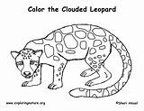Clouded Coloringnature sketch template