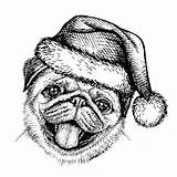Pug Santa Hat Dog Christmas Sketch Claus Puppy Drawn Portrait Vector Hand Premium sketch template