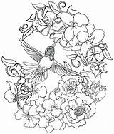 Coloring Pages Hummingbird Adults Flower Tattoo Adult Printable Flowers Metacharis Deviantart Hummingbirds Advanced Drawing Bird Print Humming Birds Color Mandala sketch template