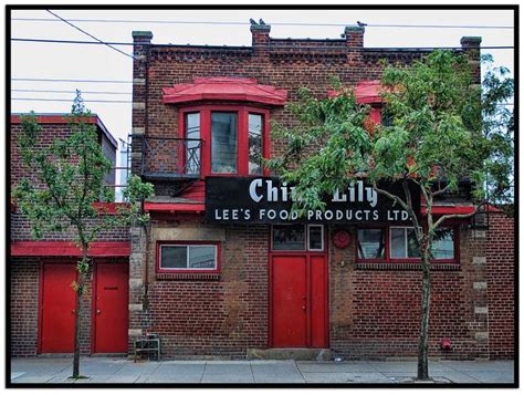 china lily ii scenic views good  flood locals toronto favorite places lily flickr canada