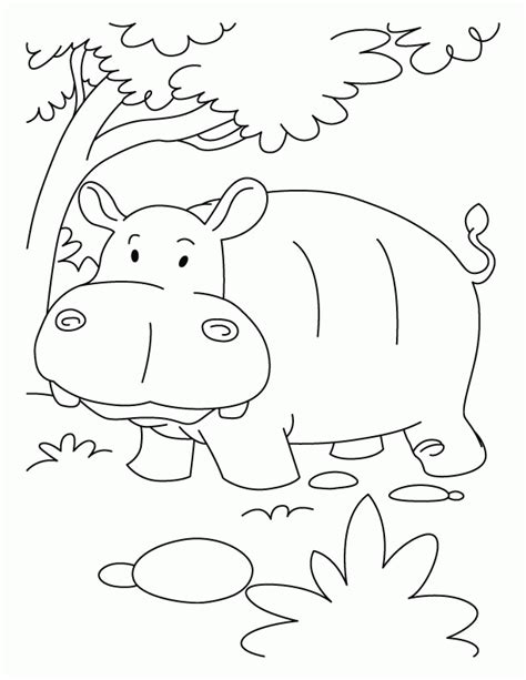 hippo coloring pages printable coloring pages