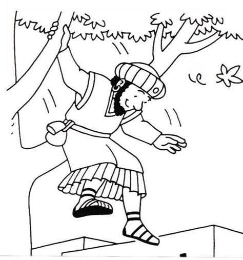 zacchaeus coloring page coloring pages  kids   adults sunday