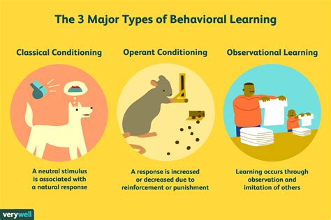 types  learning classical conditioning chapter  section  classical  operant