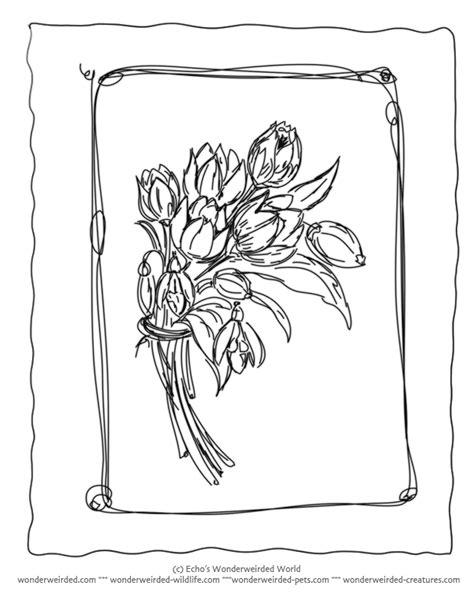 spring flower coloring pages   nature activities  kids