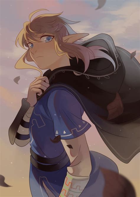 link breath of the wild breath of the wild pinterest