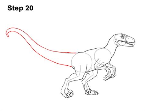 How To Draw Blue Velociraptor Jurassic Wolrd Video