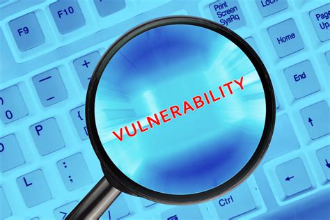 importance  vulnerability assessment