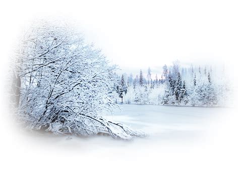 winter scenery scenery background