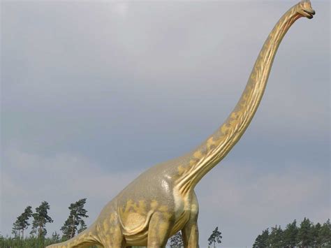 brontosaurus   business insider